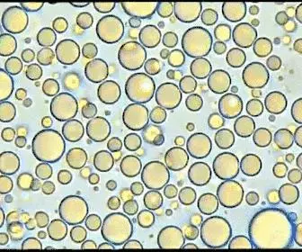 美國兒科學會:堅持母乳到2歲的4大好處,是任何奶粉都比不了的