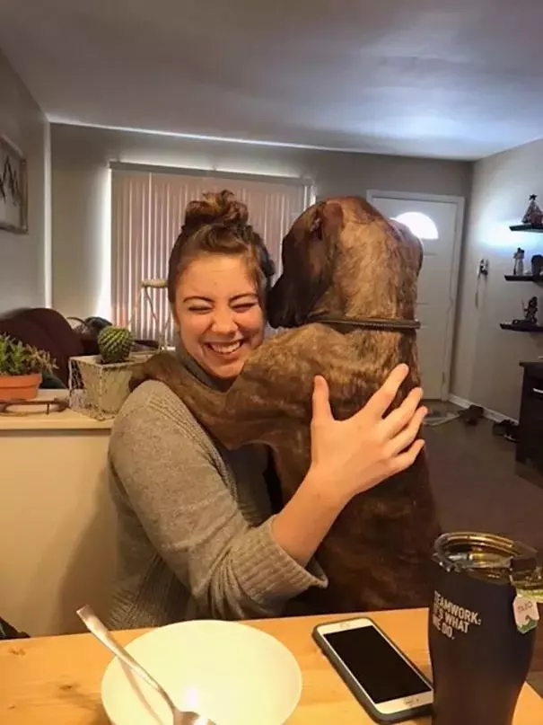 比特犬窩收容所一直沒人要,被領回家後「每天必做這件事」!
