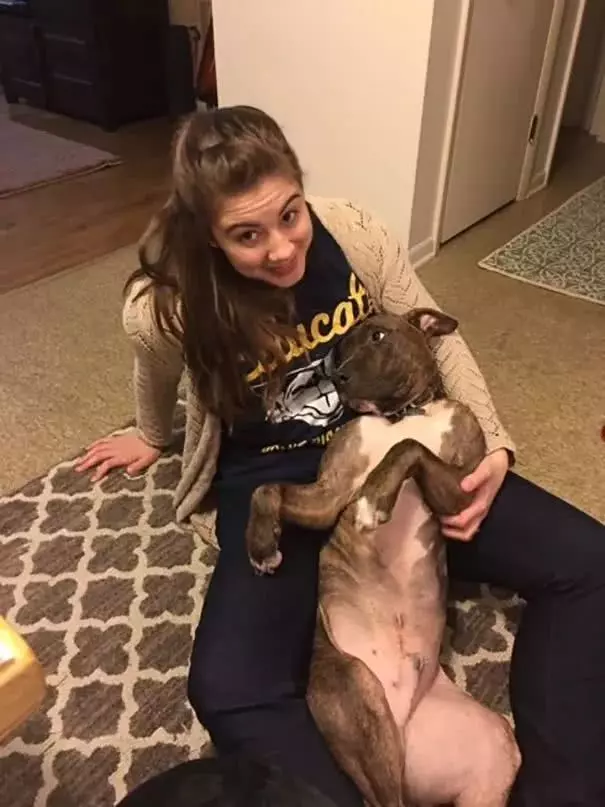 比特犬窩收容所一直沒人要,被領回家後「每天必做這件事」!