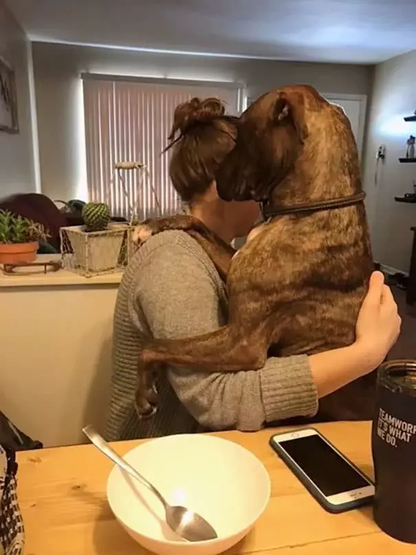 比特犬窩收容所一直沒人要,被領回家後「每天必做這件事」!