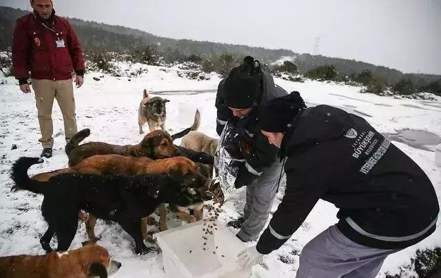 25°C低溫,深夜街頭黑衣男子暖哭無數人:謝謝你愛我