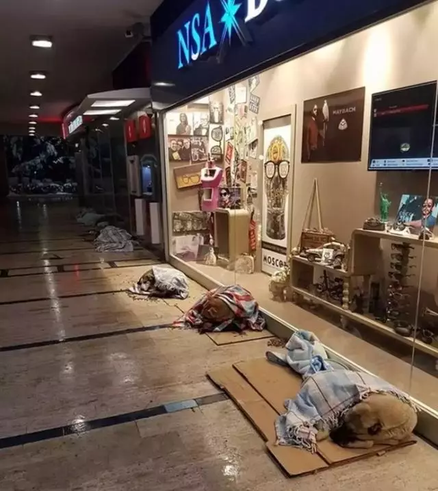 25°C低溫,深夜街頭黑衣男子暖哭無數人:謝謝你愛我