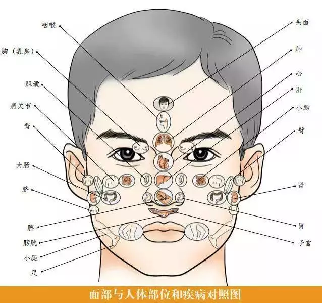 必知的一些中醫常識,以及身體10大重要穴位,收藏一下吧