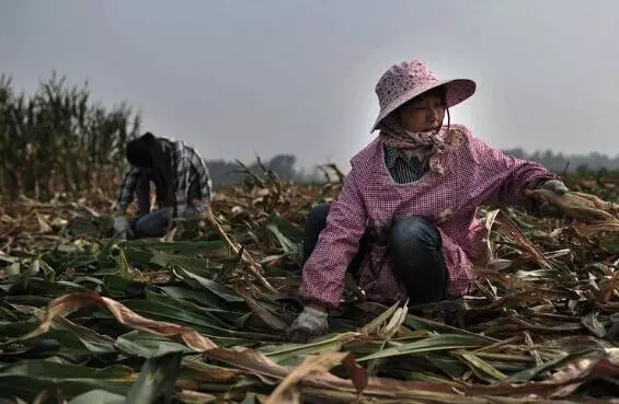 父親癱瘓母親離家,嬸嬸把侄子拉扯大,婚禮上嬸嬸一席話全場淚目