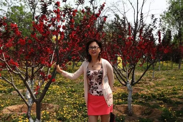 拋棄患難妻子,偷偷外出會情人意外車禍身亡,多年後兒子養妻子老
