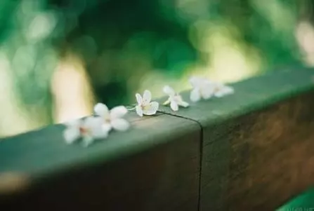 一個人真正的「幸福」:心上無事,身上「無病」,世上好光景!