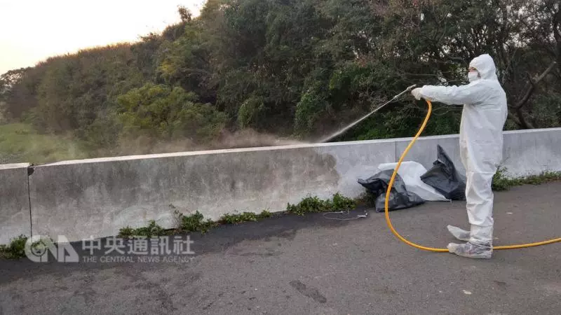 新豐棄置死雞確診H5病毒 縣府追流向開罰