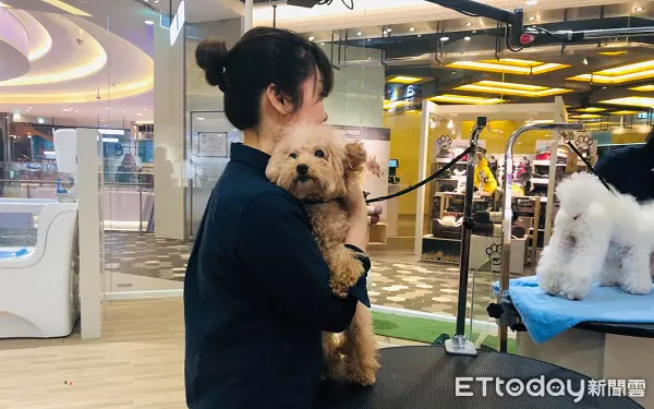 外聘美容師嗆打狗才會怕！劉淑蕙丟一句話轟走...結局神療癒