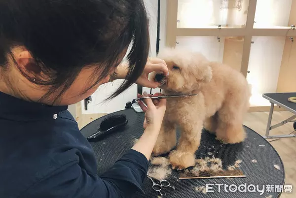 外聘美容師嗆打狗才會怕！劉淑蕙丟一句話轟走...結局神療癒