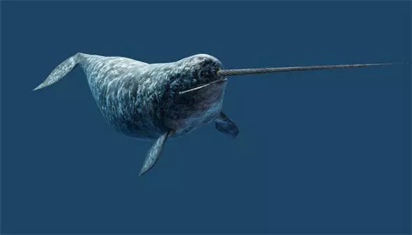 見過「這種蛇」嗎?好邪惡的生物~(各種罕見物種大盤點!)