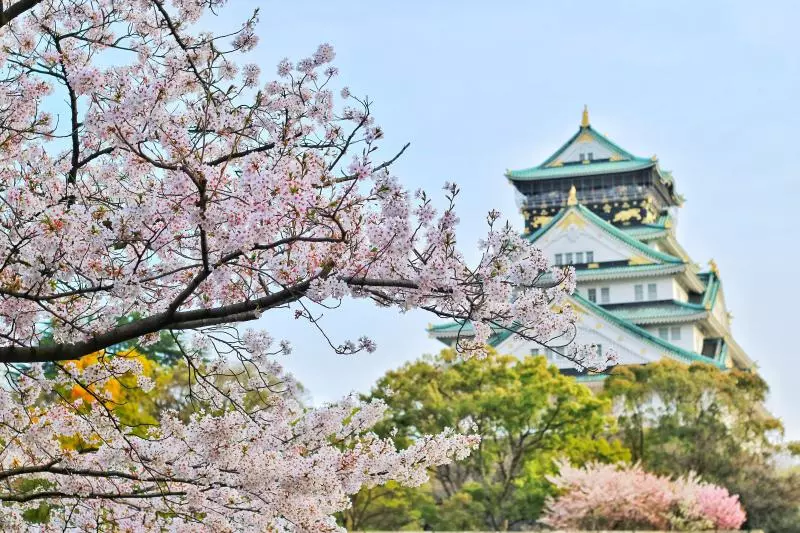 神社跟寺廟差在哪?看「紅色鳥居」就知道 想求神別跑錯