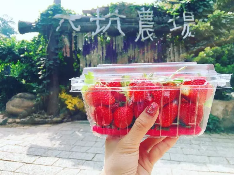 不用飛日本!台灣仙境級「35公尺紫藤花海隧道」美翻,私房景點曝光「白天夜晚風情不同」宛如童話!