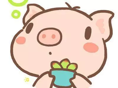 大師偷偷告訴你:你的生肖決定你二月財運,真准