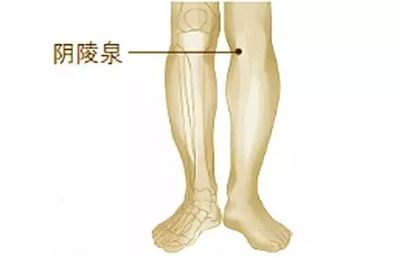 「濕氣重,百病生」,常按這3個祛濕穴,輕鬆排除濕氣又減肥!