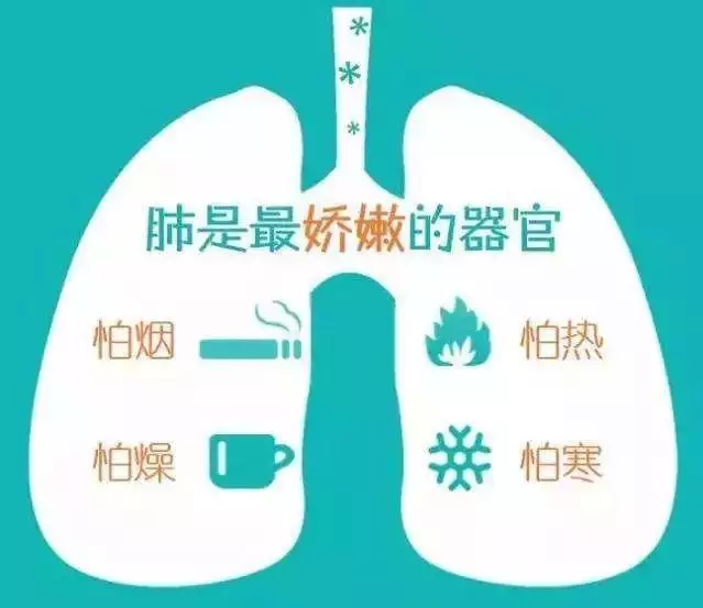 冬季,笑口常開好「肺」自然來!