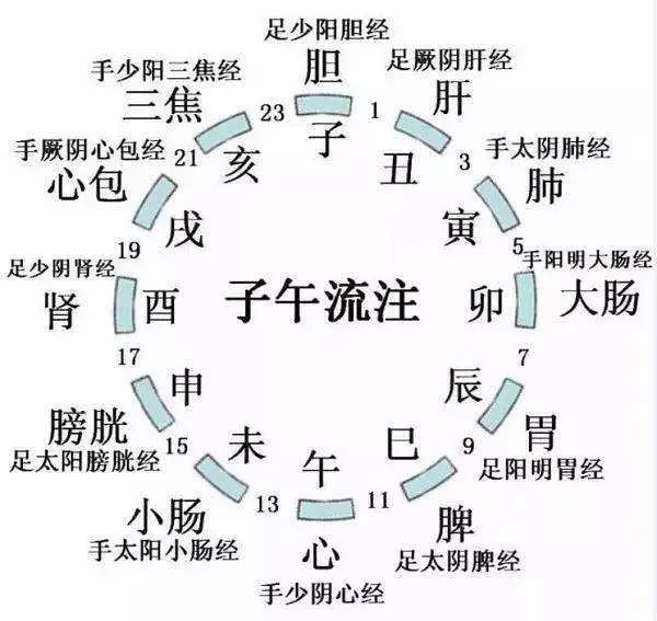 喝水多1步潤腸解毒!中醫:養胃防過敏早餐這樣吃