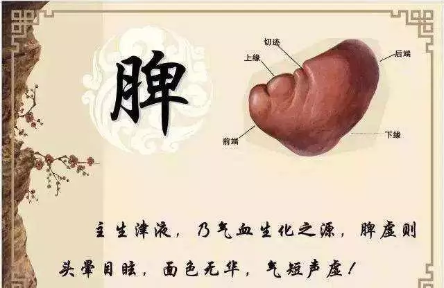 喝水多1步潤腸解毒!中醫:養胃防過敏早餐這樣吃