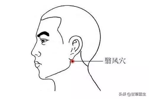 中醫談脫髮|拿什麼拯救你,我的髮際線!