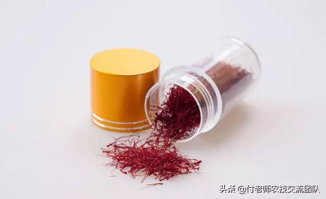 女性使用藏紅花好嗎?這幾點需要知道!