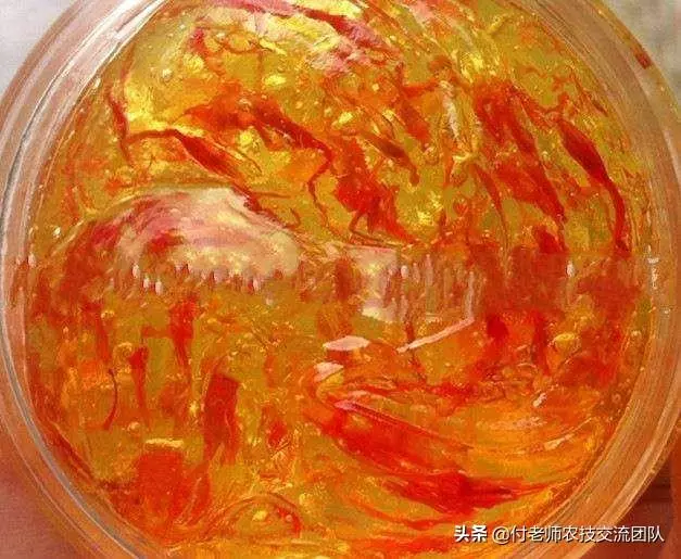 女性使用藏紅花好嗎?這幾點需要知道!
