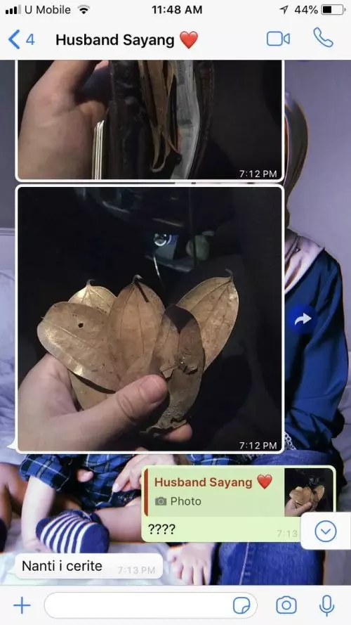 司機載詭異女乘客車上笑不停 收車資「8張鈔票→8片枯葉」...訊息記錄全消失