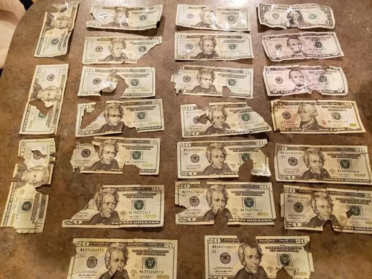 刮腿毛卻拆了水龍頭!22張自己都無語的「衰人真事」 頭髮夾進公車扶手太驚悚...
