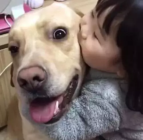 幾年不見,回家之後狗狗是怎麼認出我的