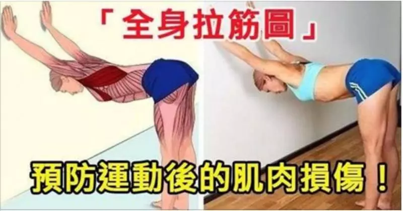 你知道拉筋主要是拉哪裡嗎?「全身拉筋圖」讓你一目瞭然,更能預防運動後的肌肉損傷!