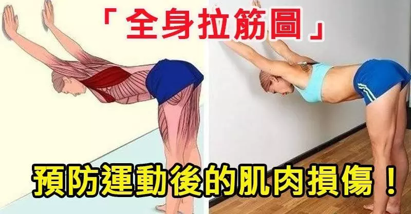 你知道拉筋主要是拉哪裡嗎?「全身拉筋圖」讓你一目瞭然,更能預防運動後的肌肉損傷!
