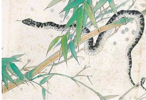 生來就是享福命的8大生肖,好運氣從小旺到老,接喜吧