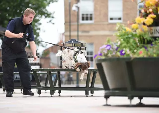英國緝毒犬破6000萬走私菸草,被人懸紅20萬取它狗頭