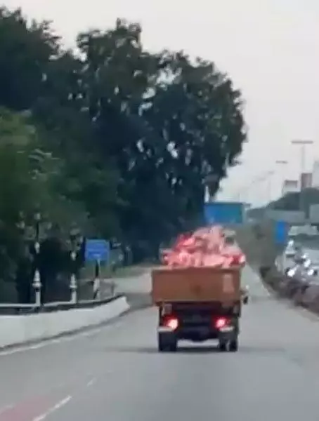 ◤華裔老翁遭羅厘輾死◢男女奮勇追車失敗［視頻］