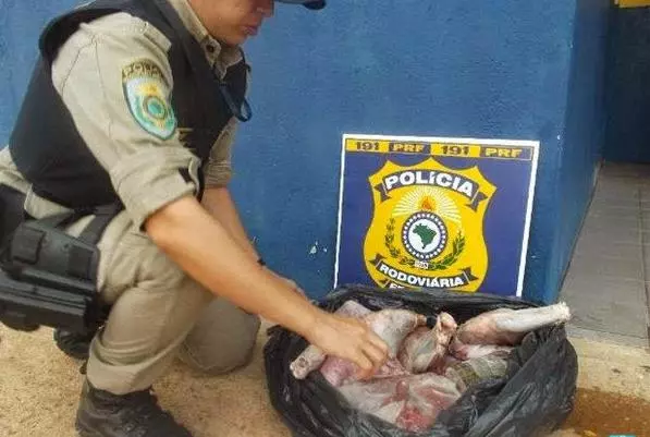 警察攔下一輛可疑貨車發現大量不明肉塊,查明真相後,馬上集體衝去醫院救命了!