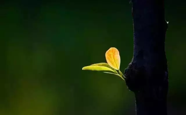地藏菩薩說,每天念這七個字,父母孩子都有大福報!