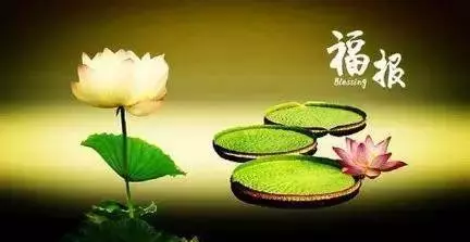 地藏菩薩說,每天念這七個字,父母孩子都有大福報!