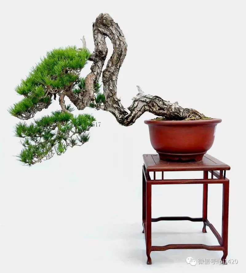 懂得低頭才能出頭!!