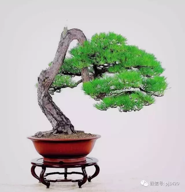 懂得低頭才能出頭!!