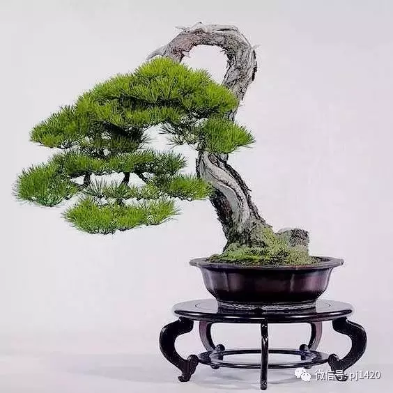 懂得低頭才能出頭!!