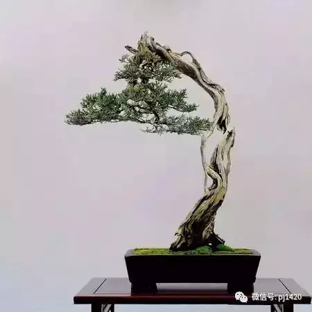 懂得低頭才能出頭!!