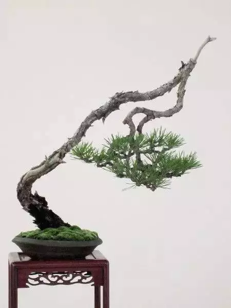 懂得低頭才能出頭!!