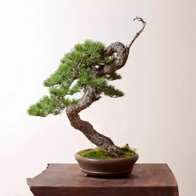 懂得低頭才能出頭!!