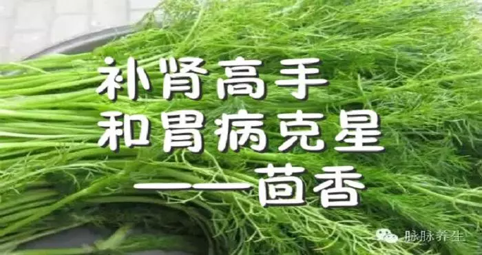 想要抗衰老、防癌、防骨質疏鬆,就一定要認識這種菜!它的 6 大功效強大到連醫生都佩服~