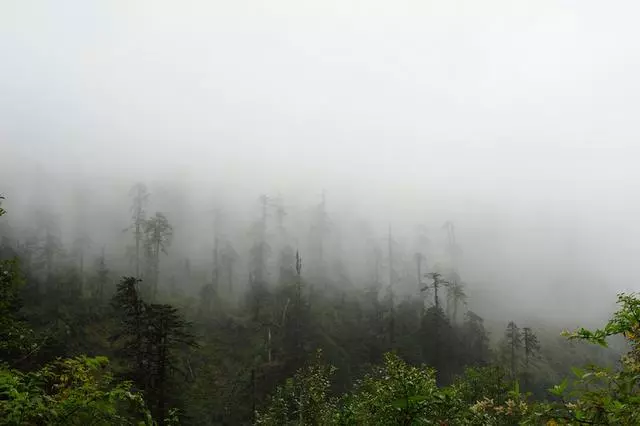 西藏最特殊的存在,一不小心便被暴露了