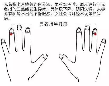 誰偷走了我們的氣血?指出現代人的通病~