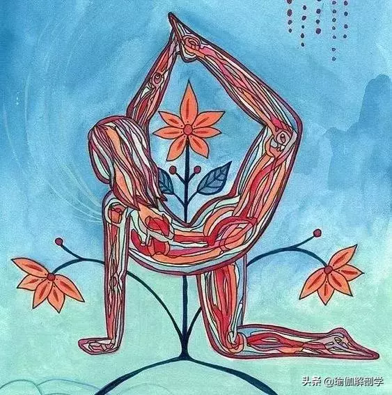 瑜伽初學者要開肩,收藏這一篇文章就夠了!