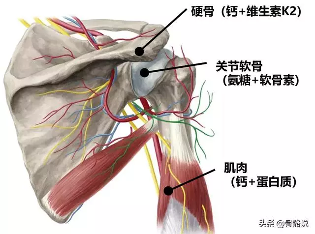 4個動作天天練,告別肩周炎不再犯