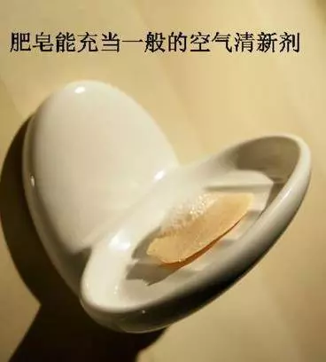除蟑螂秘方:只用一顆馬鈴薯,就把家中蟑螂通通消滅,解決一大片,太厲害了