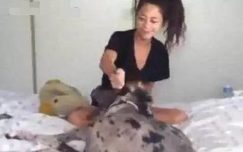 主人回家發現狗狗「一臉邪魅笑」,掰開嘴巴笑噴:你這是要拔巴笑到往生嗎?