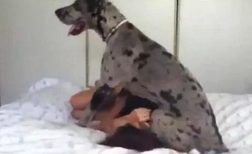 主人回家發現狗狗「一臉邪魅笑」,掰開嘴巴笑噴:你這是要拔巴笑到往生嗎?