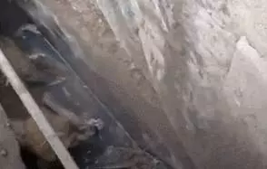 狗狗在水中嗚嗚哭泣,被男子聽到抬起石板後,裡面情景讓他難過